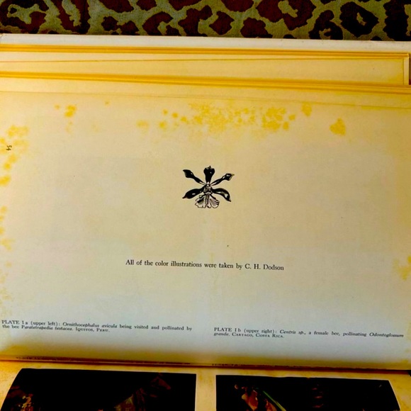 Orchid Flowers: Their Pollination and Evolution Hardbound Reference Book - Picture 11 of 12